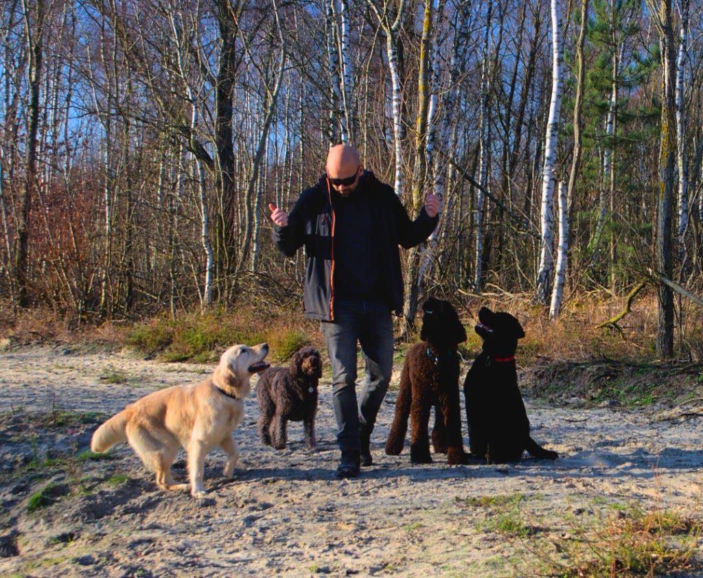 Steven wandelt met honden op een zandpad in het birkenbos — groepstraining One Happy Hound — hond uitlaten Brussel