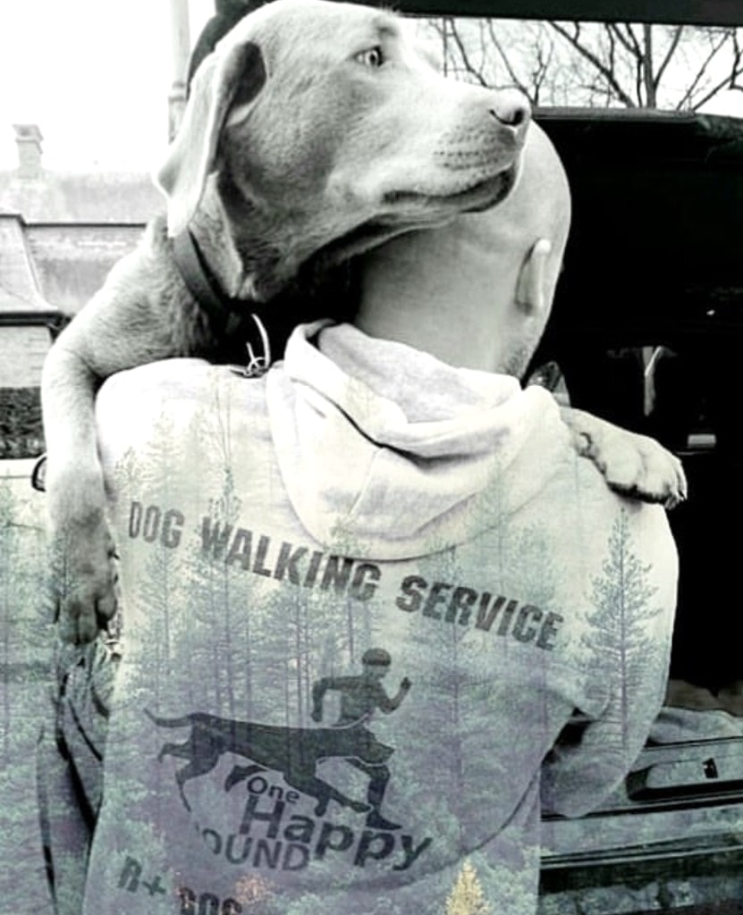 One Happy Hound met hond over de schouders — groepshondenuitlaat Vlaanderen