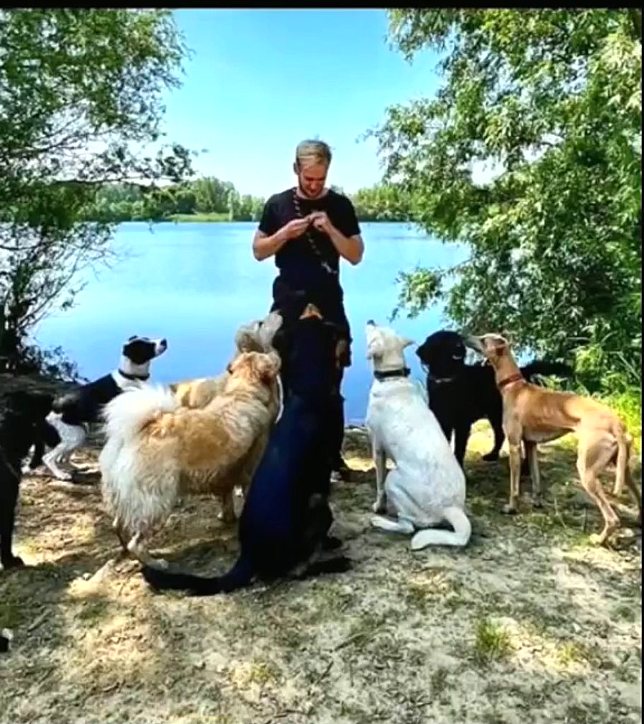 Positieve hondentraining in groep aan het water — gedrags- en groepstraining One Happy Hound